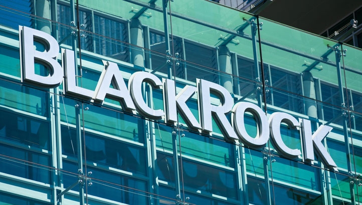 BlackRock now manages more than $200bn in long-term sustainable strategies